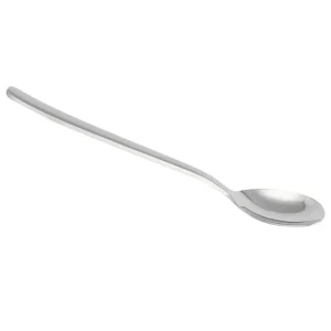 Stainless Steel Spoon