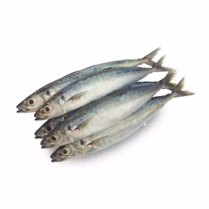 Sea Round Scad Whole 8/12 1Kg