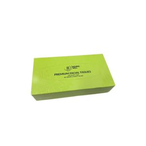 Facial Tissue 2Ply 100 Sheets