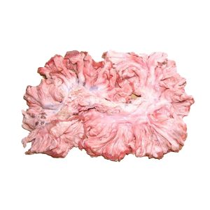 Bulaklak Chicharron $14.99/Kg