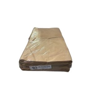 Brown Bag B3 1000 pcs
