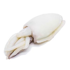 Sea Whole Cuttlefish Cleaned