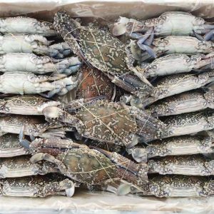 NS Blue Swimming Crab150/200