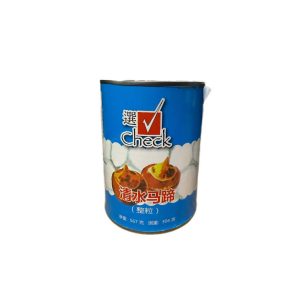 Check Water Chestnut 567g X 24
