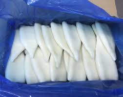 U7 Squid Tube 5Kg