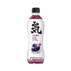 Grape Soda Drink 480ml