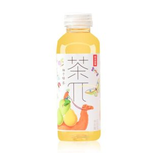 NFSQ Pomelo Green Tea 500ml