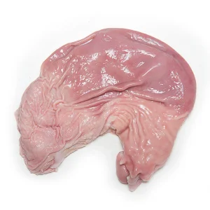 Pork Stomach (kg)