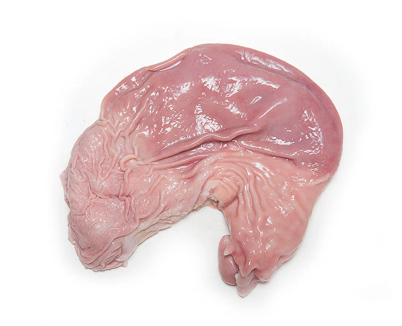 Pork Stomach (kg)