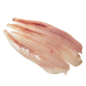 Gurnard Fillet Medium 5 KG